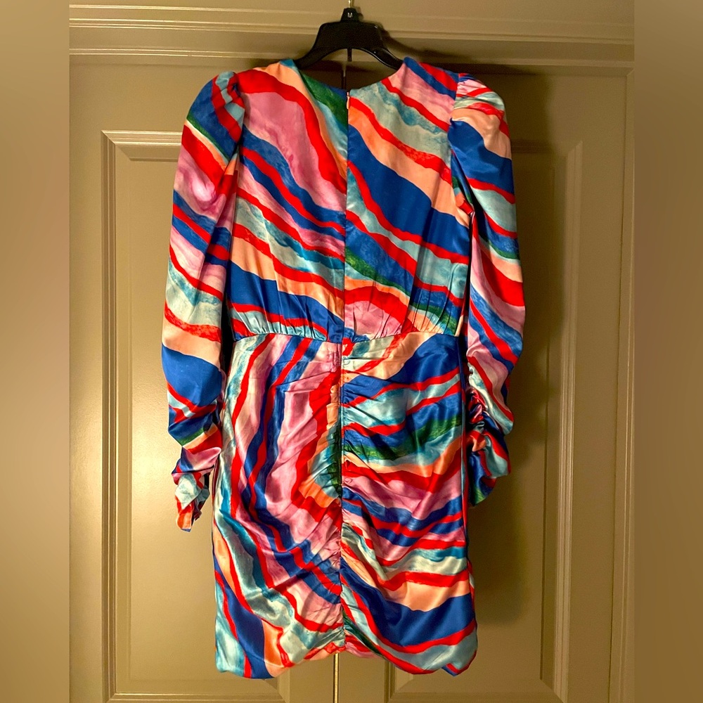 AMUR- Maxine Ruched Dress - Picture 6 of 6